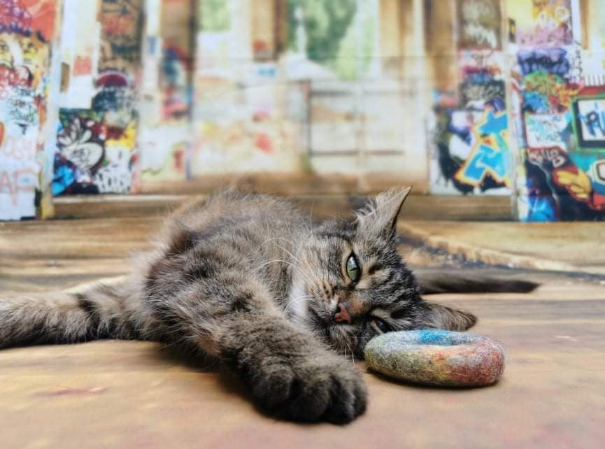 Graffiti Edition: Filz-Set 4 Teile