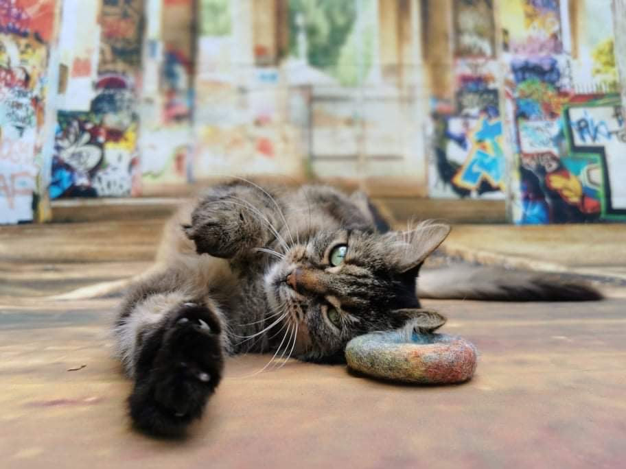 Graffiti Edition: Filz-Set 4 Teile