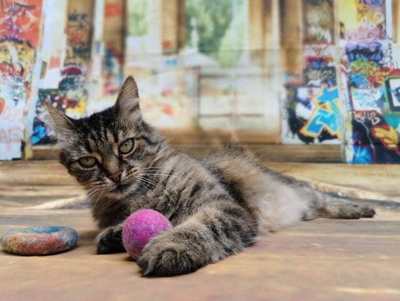 Graffiti Edition: Filz-Set 4 Teile