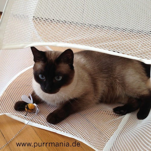 bumblebee Hummelangel