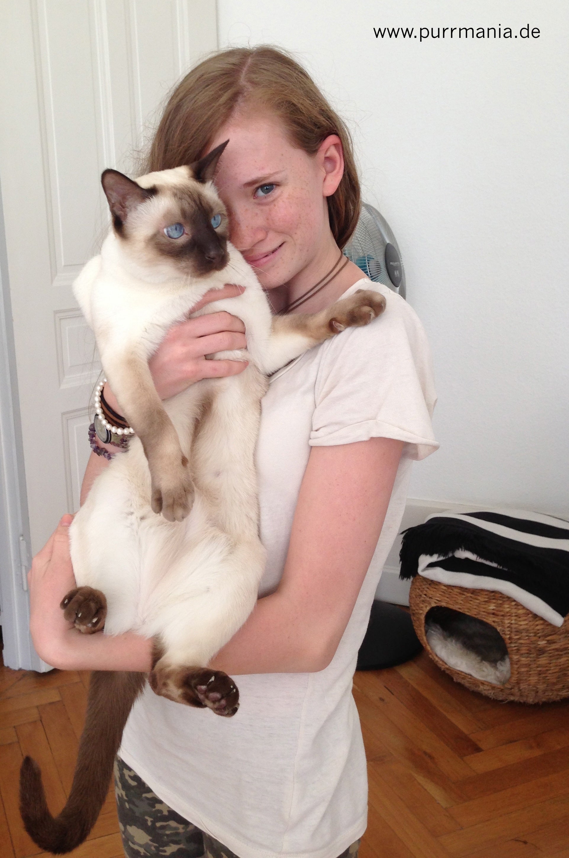 bumblebee Hummelangel