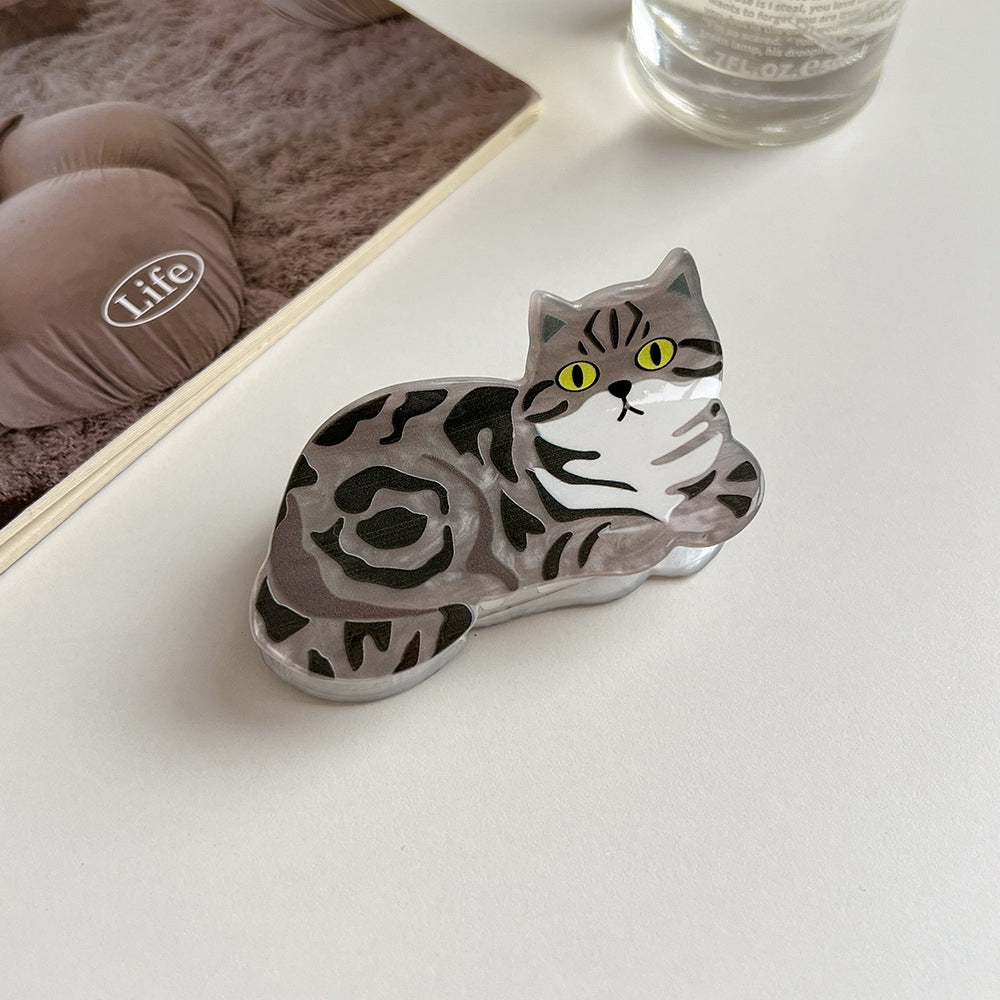 Haarklammer tabby cat