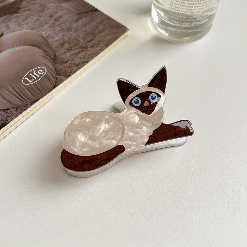 Haarklammer siamese cat