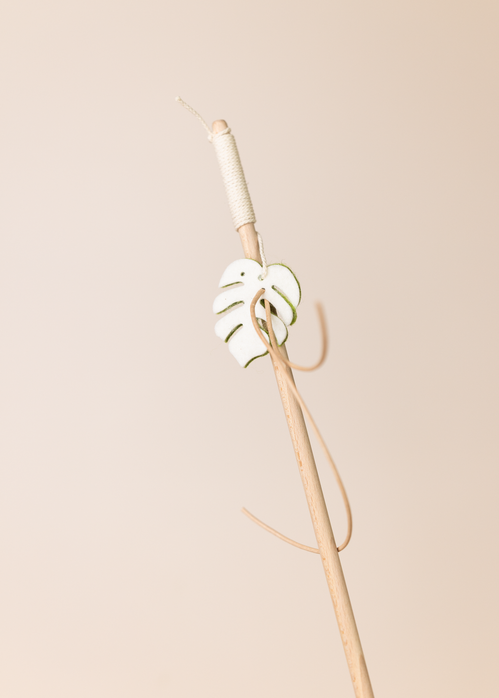 Spielangel monstera dance