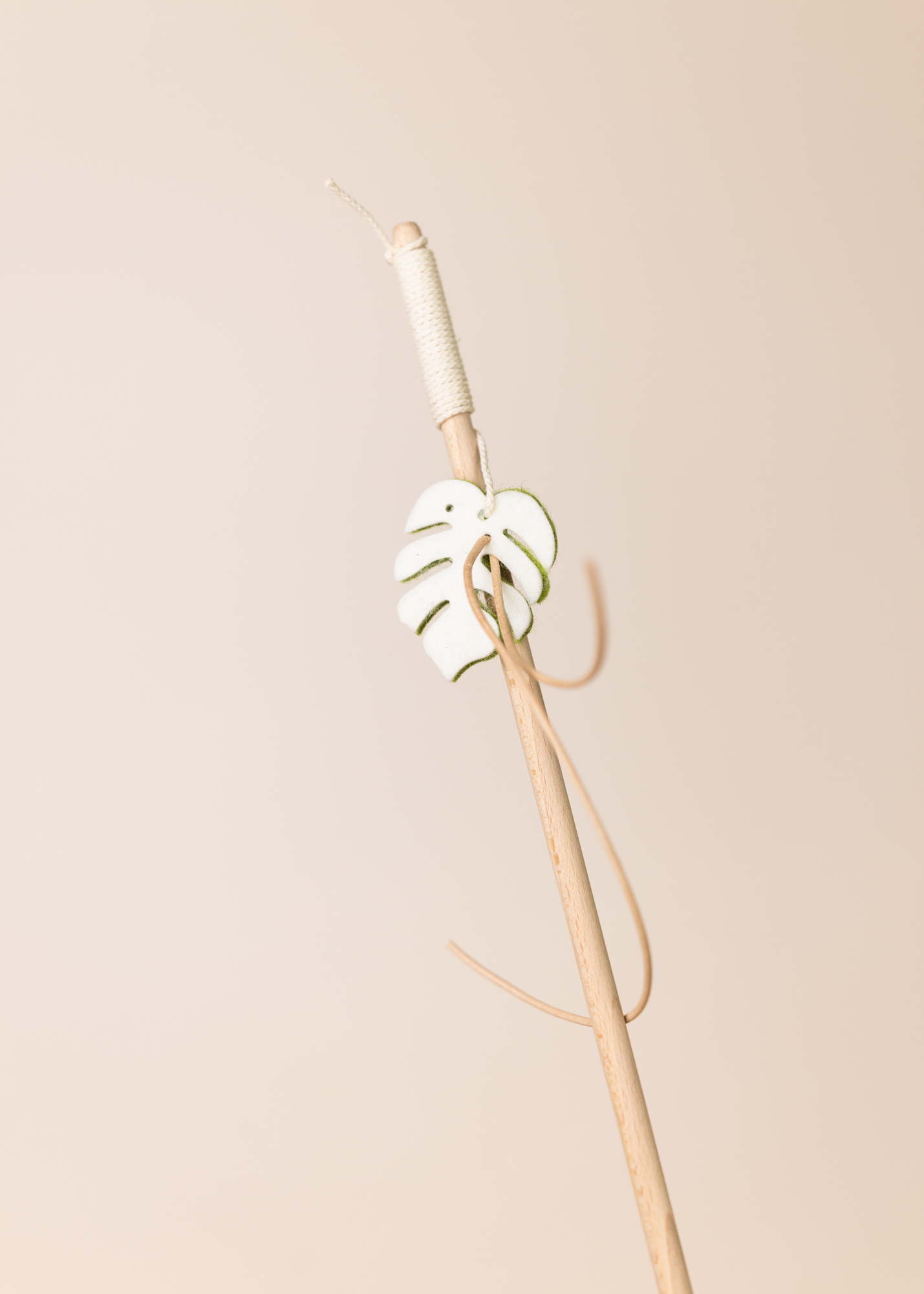 Spielangel monstera dance