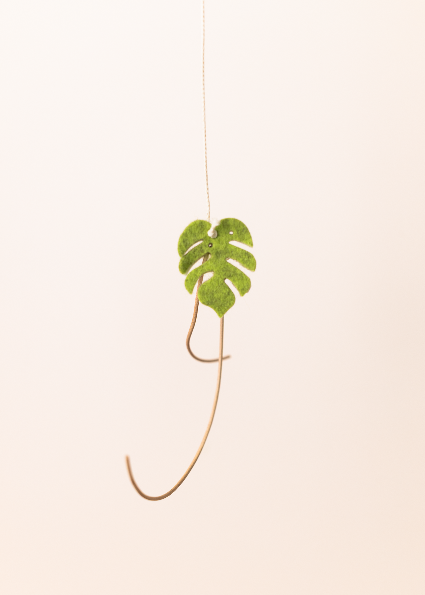 Spielangel monstera dance
