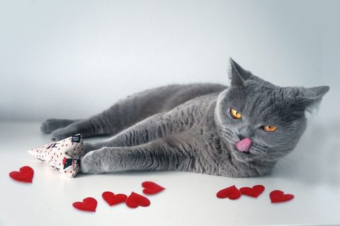 kicky ohlala Badriankicker