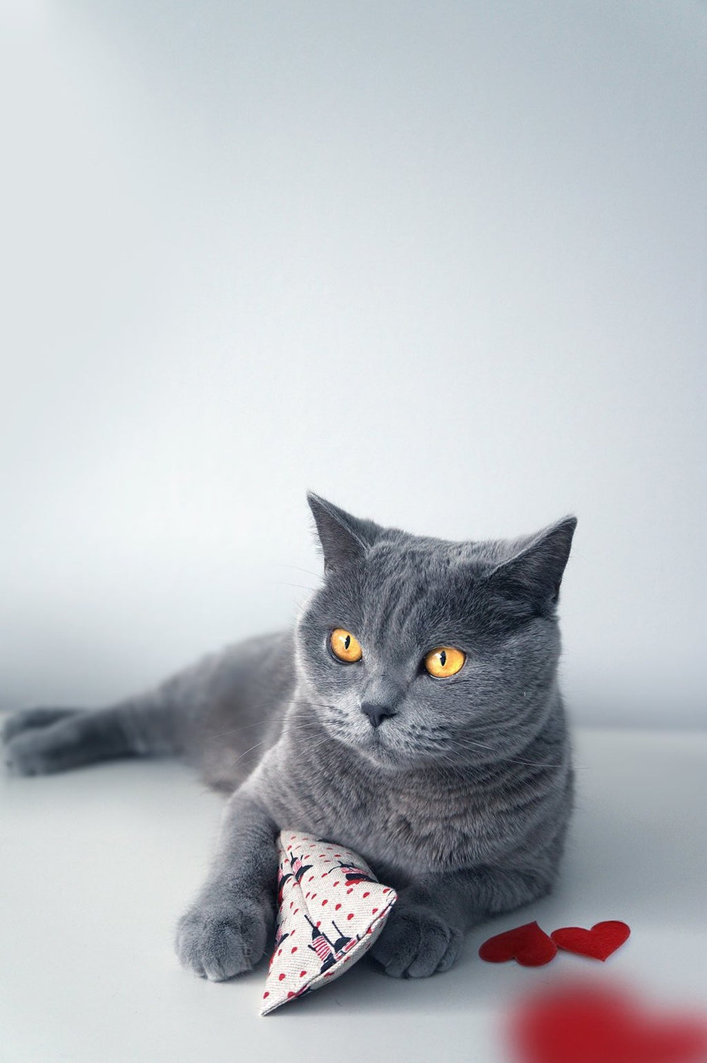 kicky ohlala Badriankicker