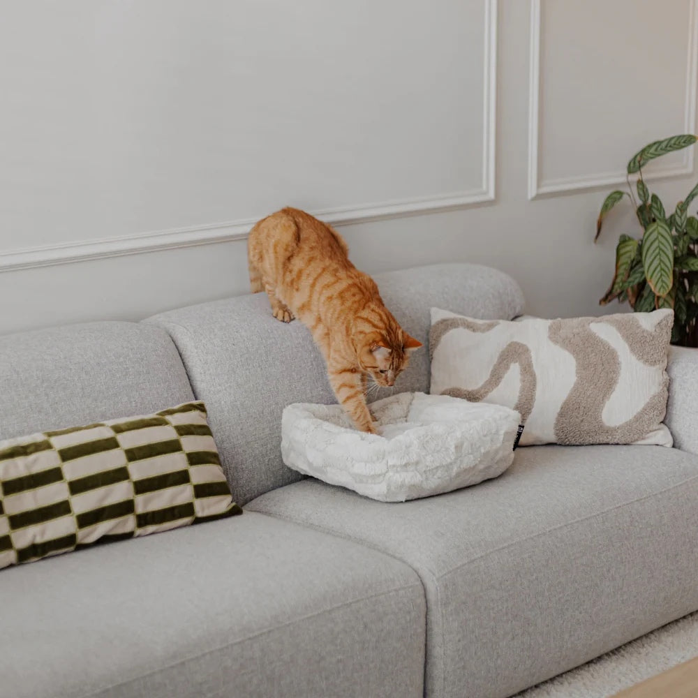 MOSA Katzenbettchen - verschiedene Farben