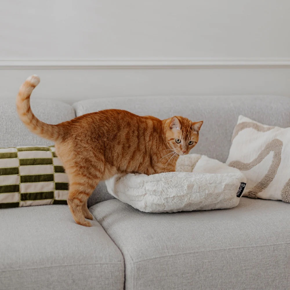 MOSA Katzenbettchen - verschiedene Farben