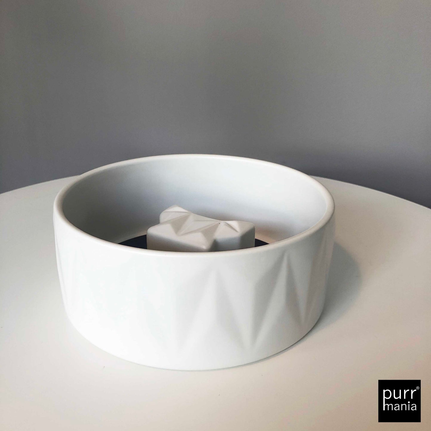 Cubist Slow Feeder Dog Bowl