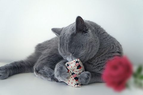 maty ohlala (Matatabi)