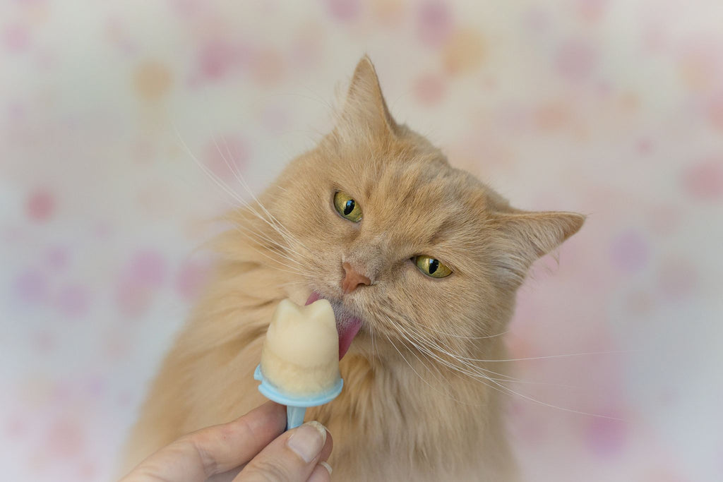 Katzeneis Set - Pulver und Förmchen