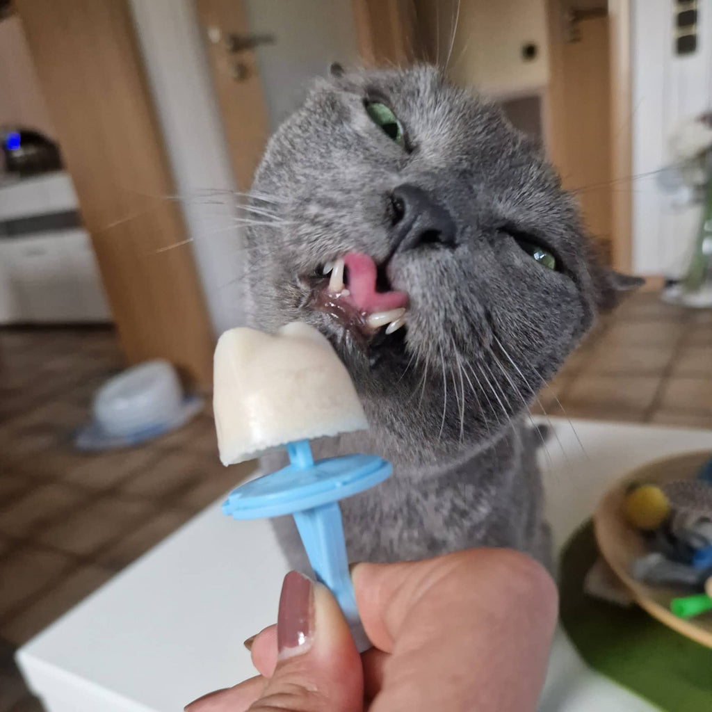 Katzeneis Set - Pulver und Förmchen