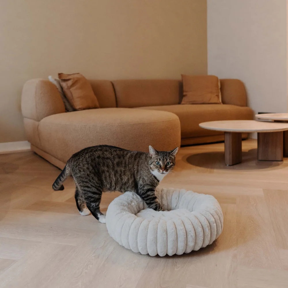 RIBBA Katzenbettchen - verschiedene Farben