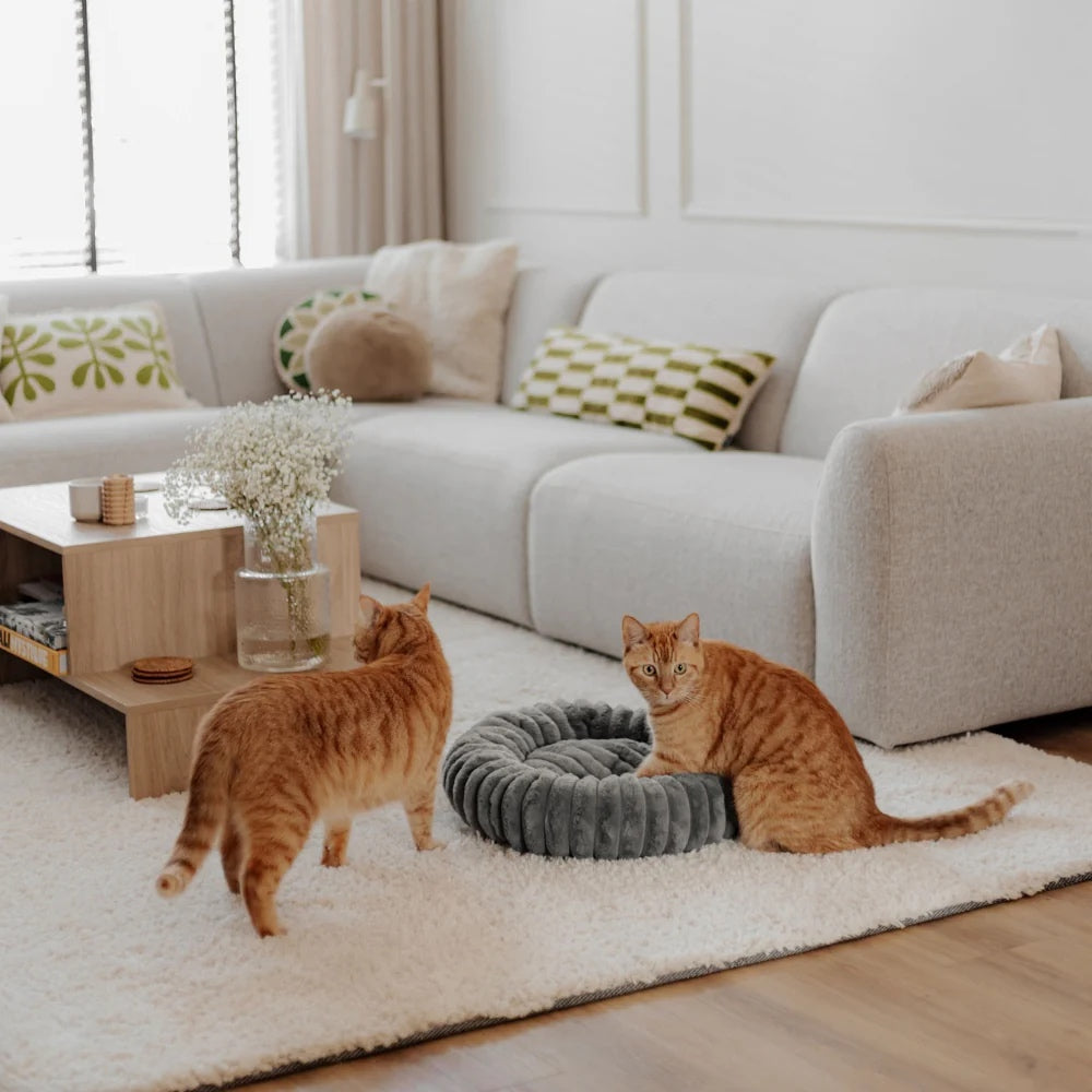 RIBBA Katzenbettchen - verschiedene Farben