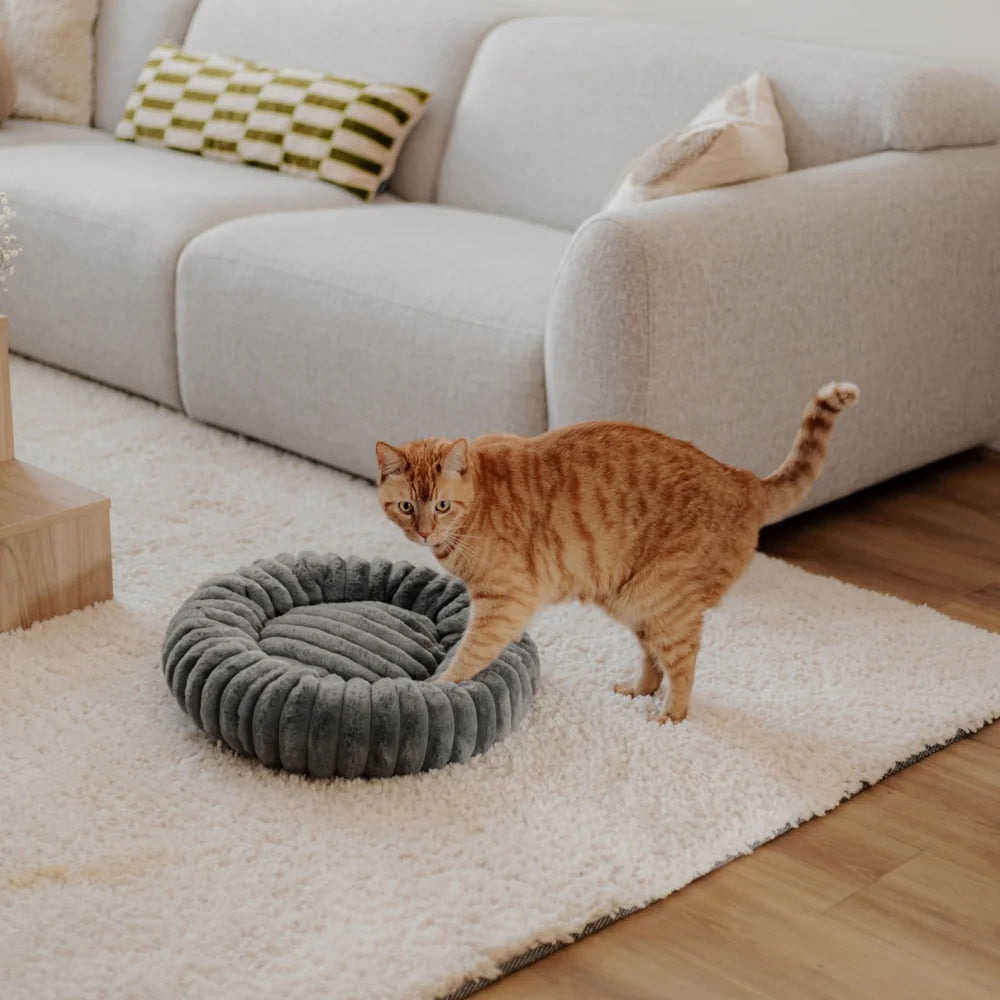 RIBBA Katzenbettchen - verschiedene Farben