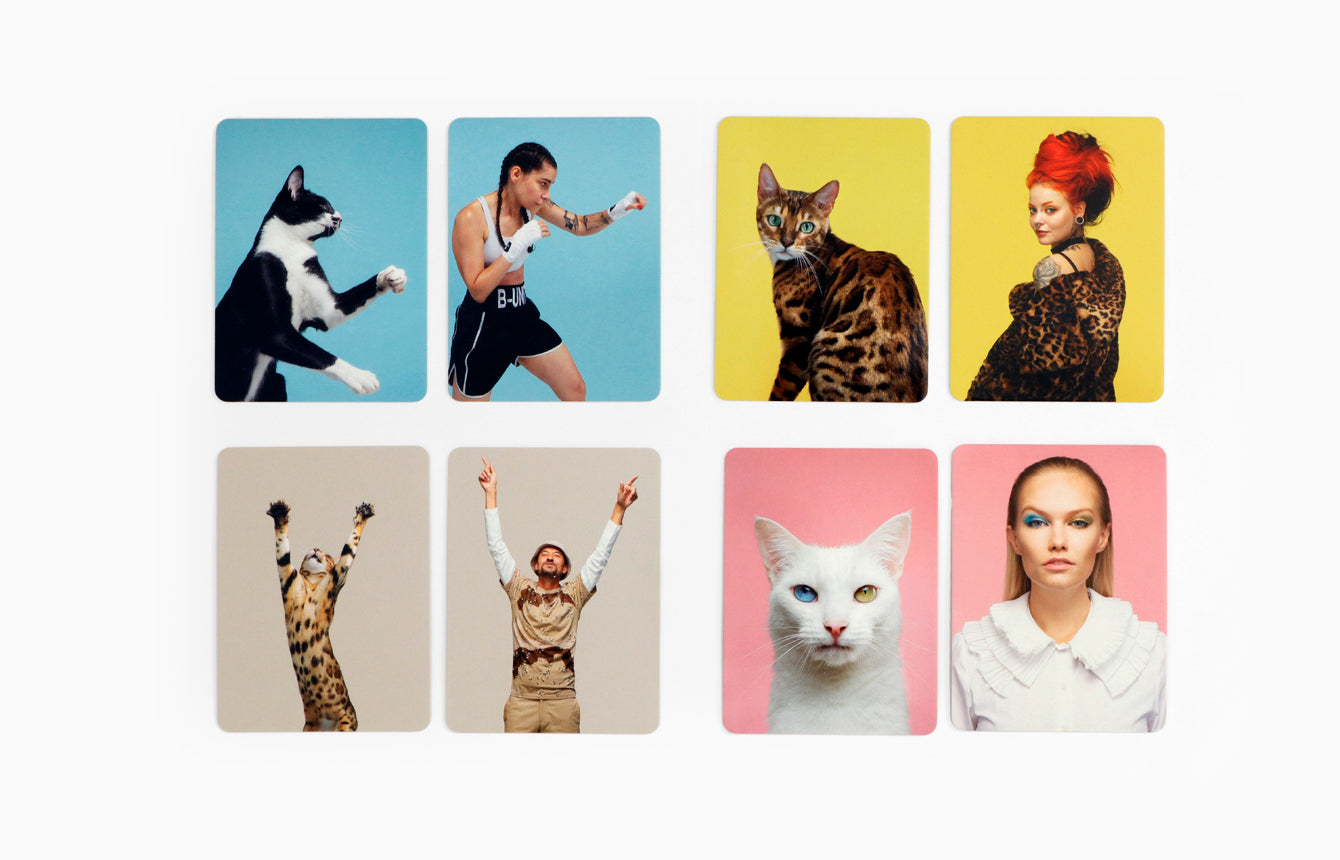 Siehst Du aus wie deine Katze - Memo Spiel