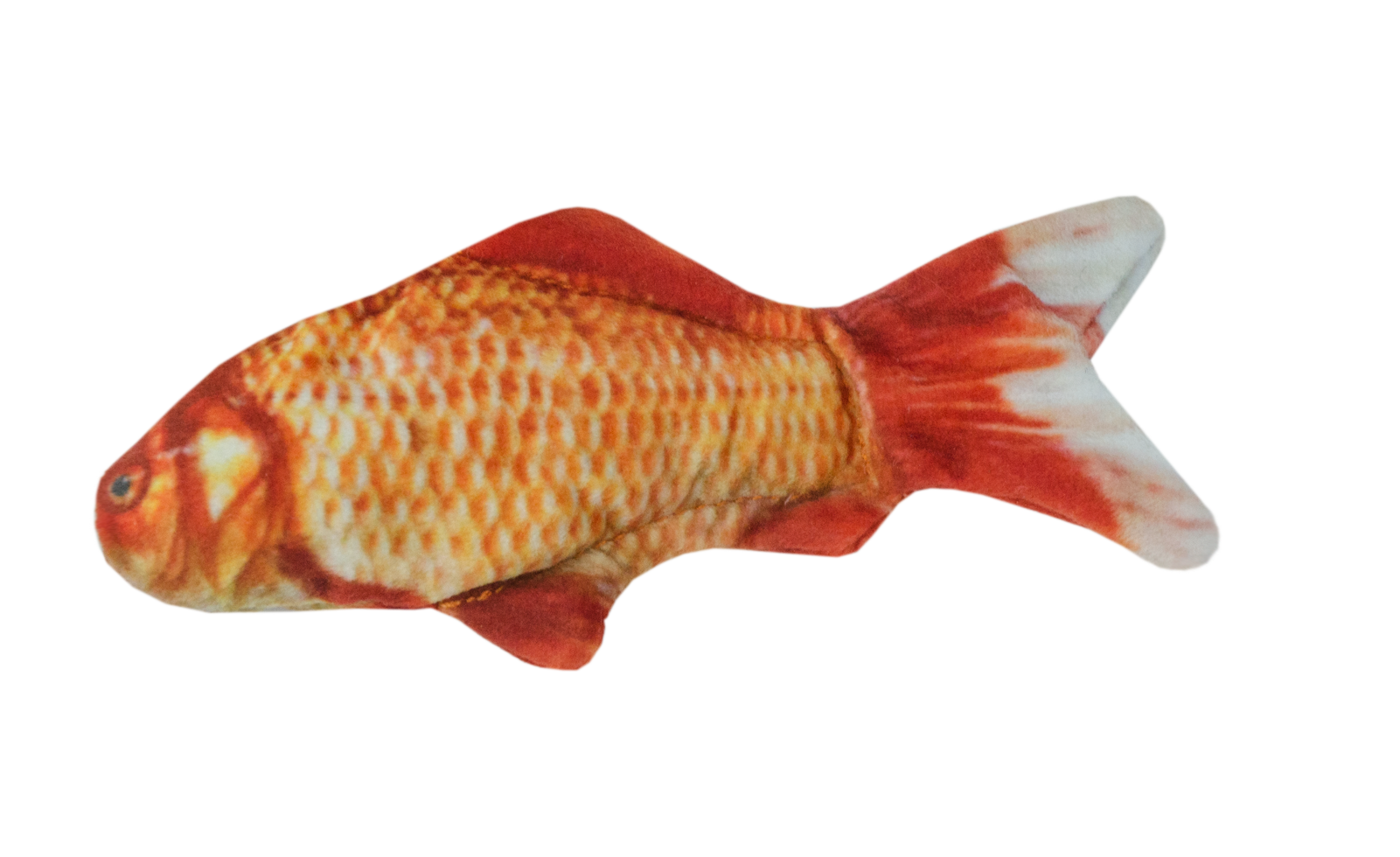 Wild Life Cat Goldfisch