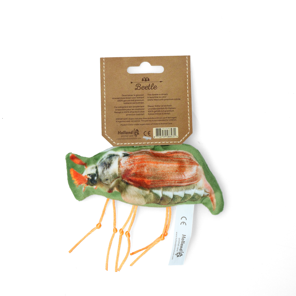 Wild Life Cat Beetle (Käfer)