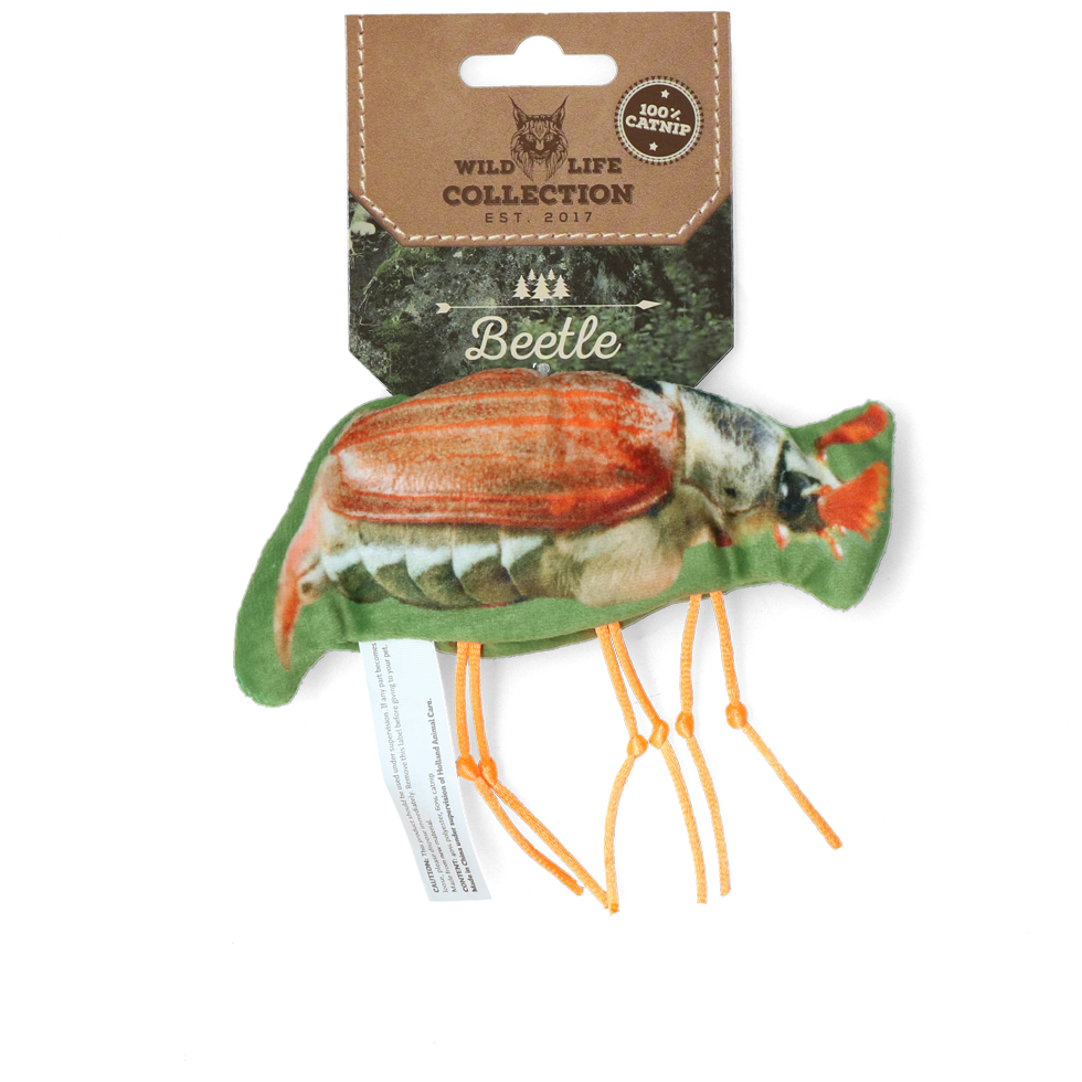 Wild Life Cat Beetle (Käfer)
