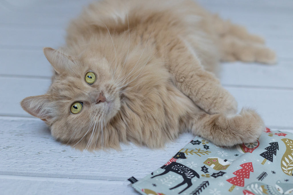 winter wonder crinkle