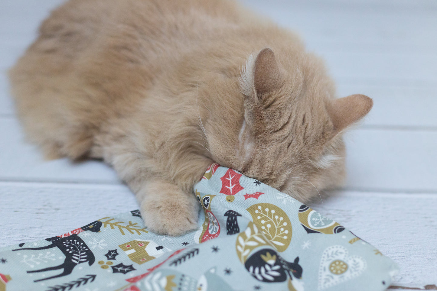 winter wonder crinkle