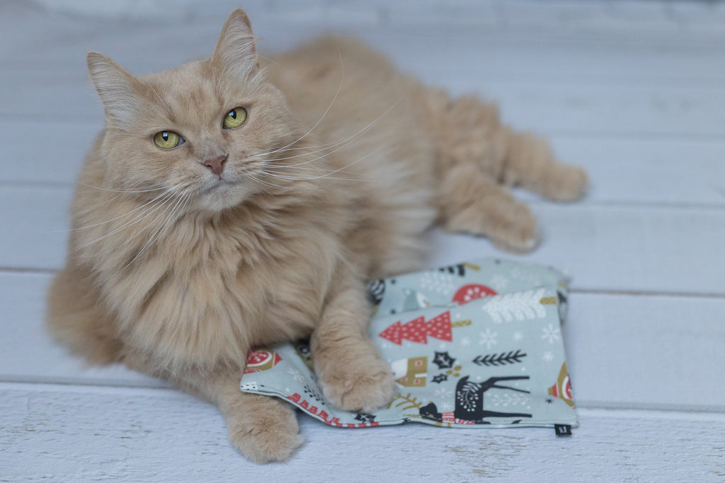 winter wonder crinkle