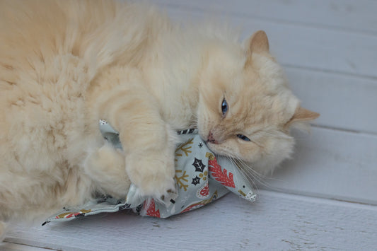 winter wonder crinkle