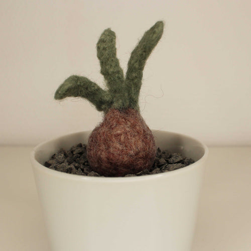 bulb (trouble)
