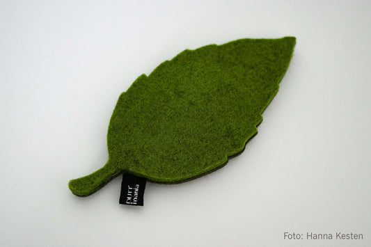 wooly leaf (Catnip)