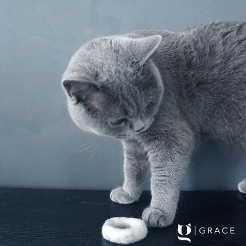 greyling Ø 7 cm