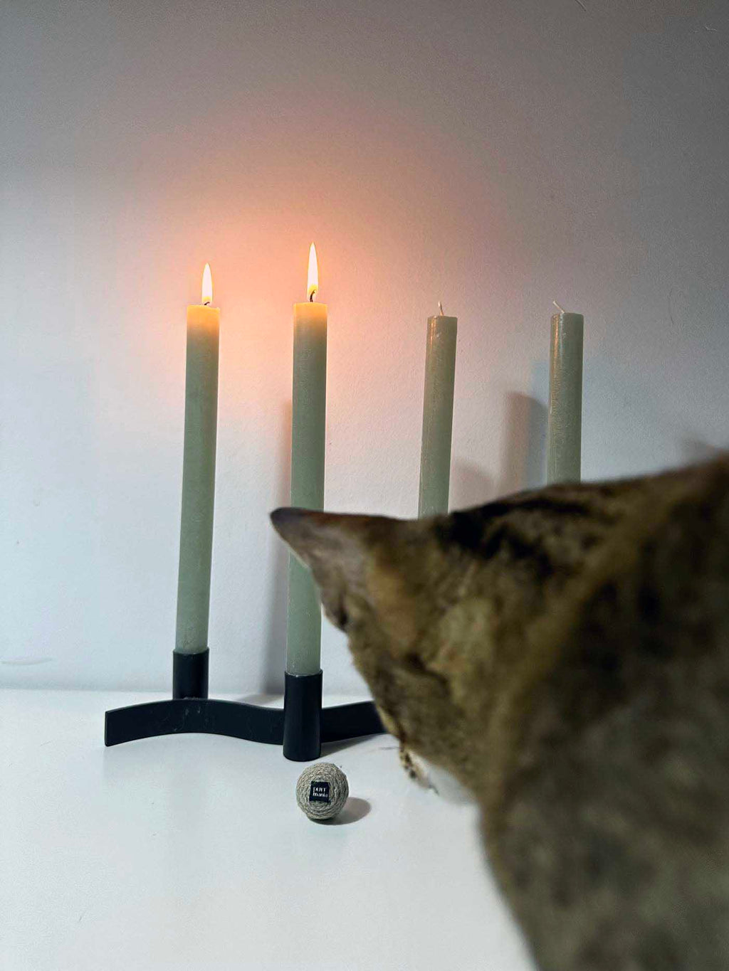 hempy Rasselball Adventskalender 2023