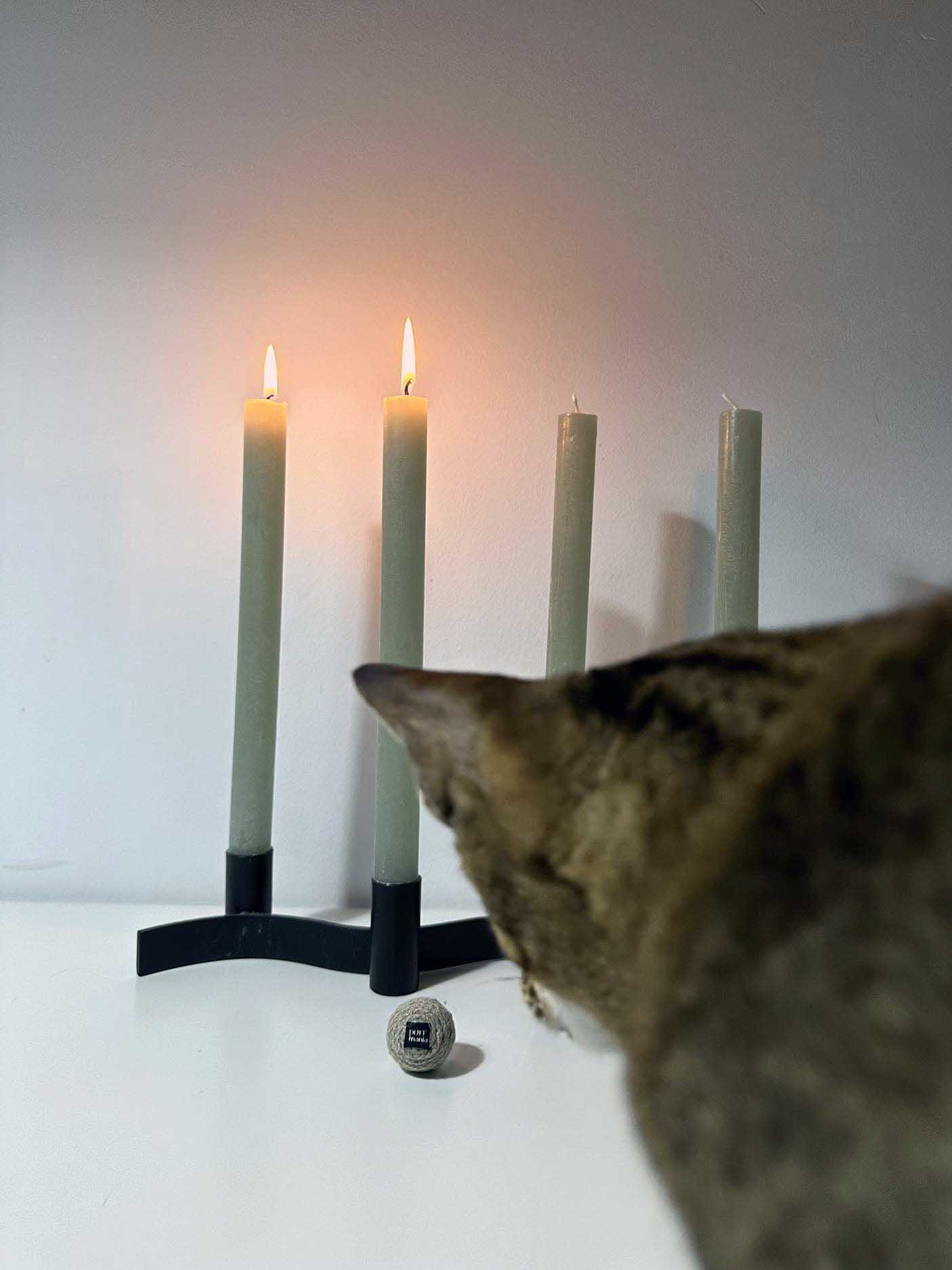 hempy Rasselball Adventskalender 2023