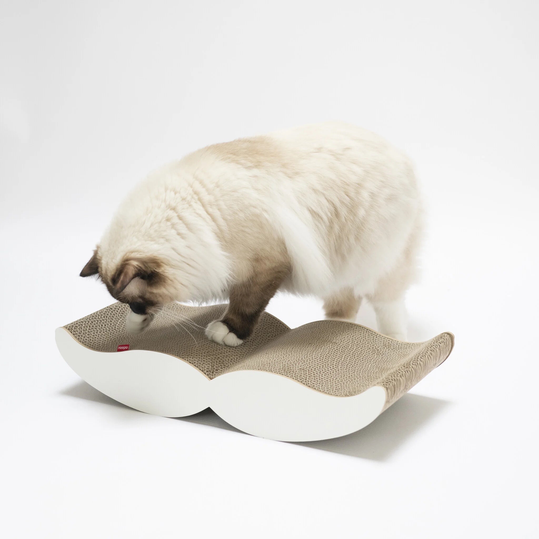 Hoopo Moustache - Kratzmöbel Weiss