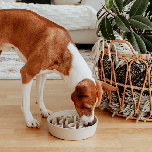 BAMBOO Dog Slow Feeder Merengue