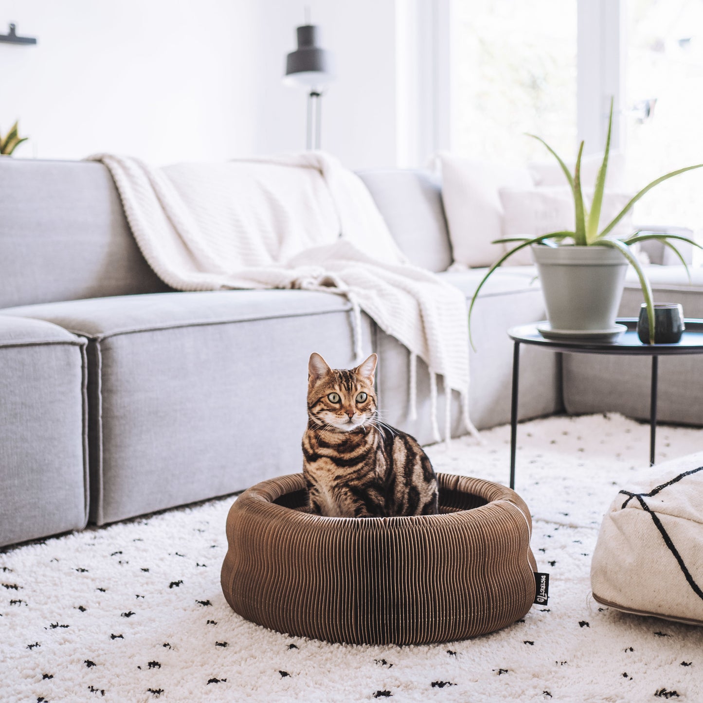 MAZE - Faltbares Papp-Katzenbett und Spielzeug in einem