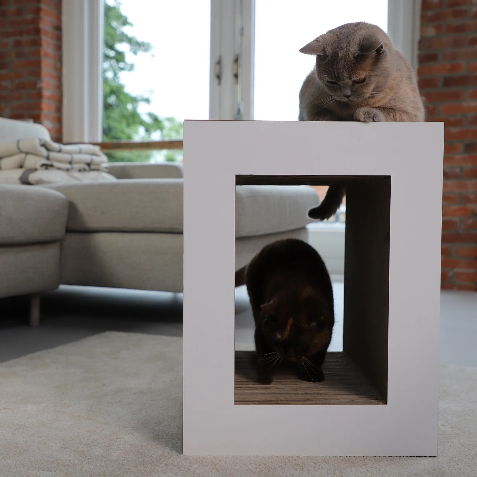 Hoopo Table - Kratzmöbel Weiss