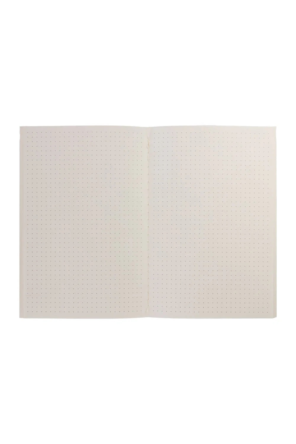 Notizbücher SPLASHY CATS 3er-Set