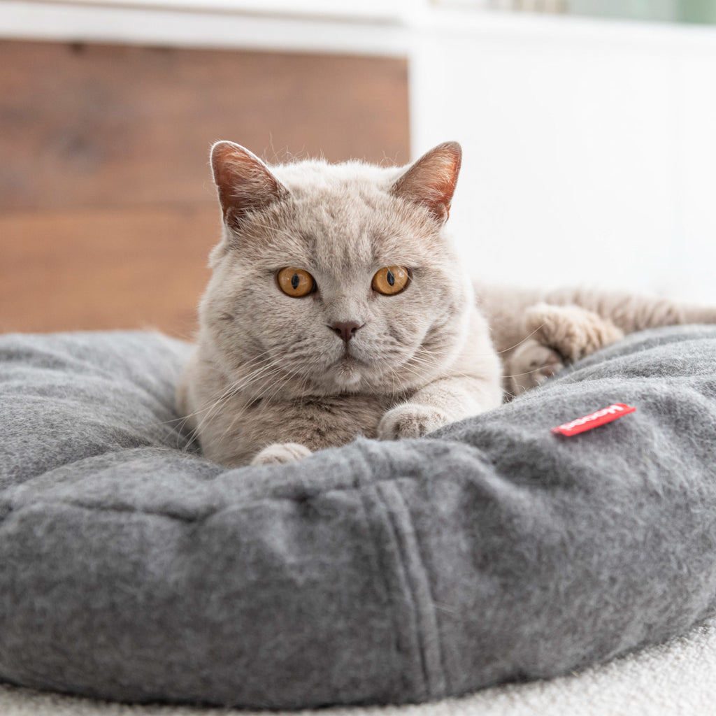Hoopo Donut - Katzenbett - verschiedene Farben