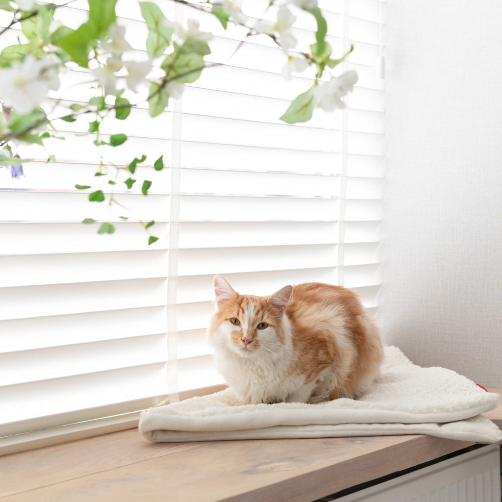Hoopo Tri - Katzendecke - verschiedene Farben