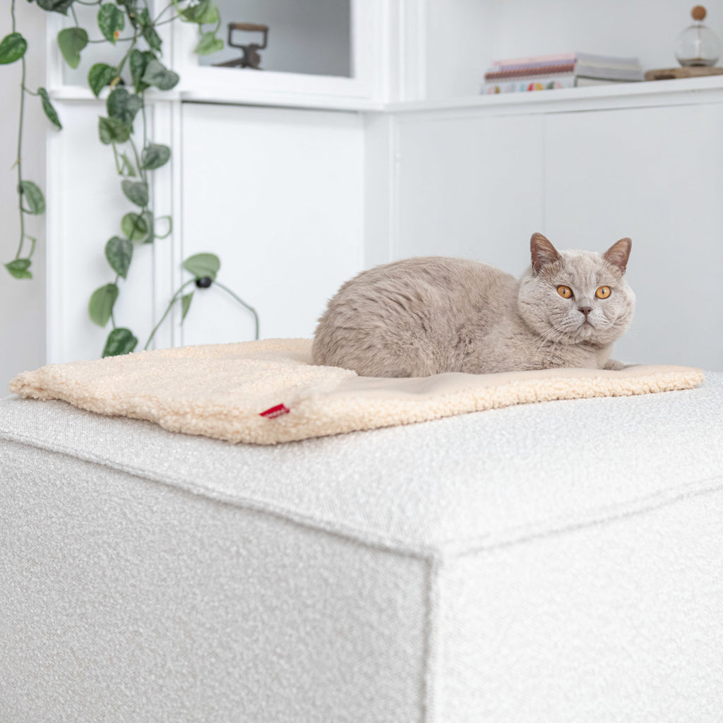 Hoopo Tri - Katzendecke - verschiedene Farben
