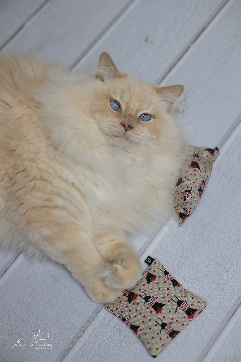 nippy ohlala Catnipkissen