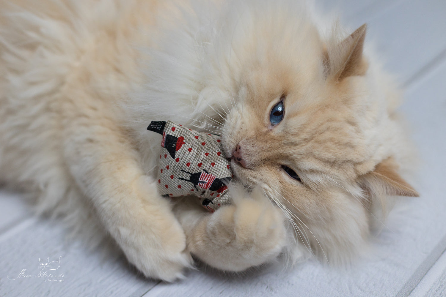 kicky ohlala Badriankicker