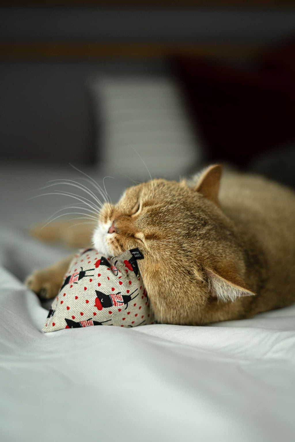 maty ohlala (Matatabi)