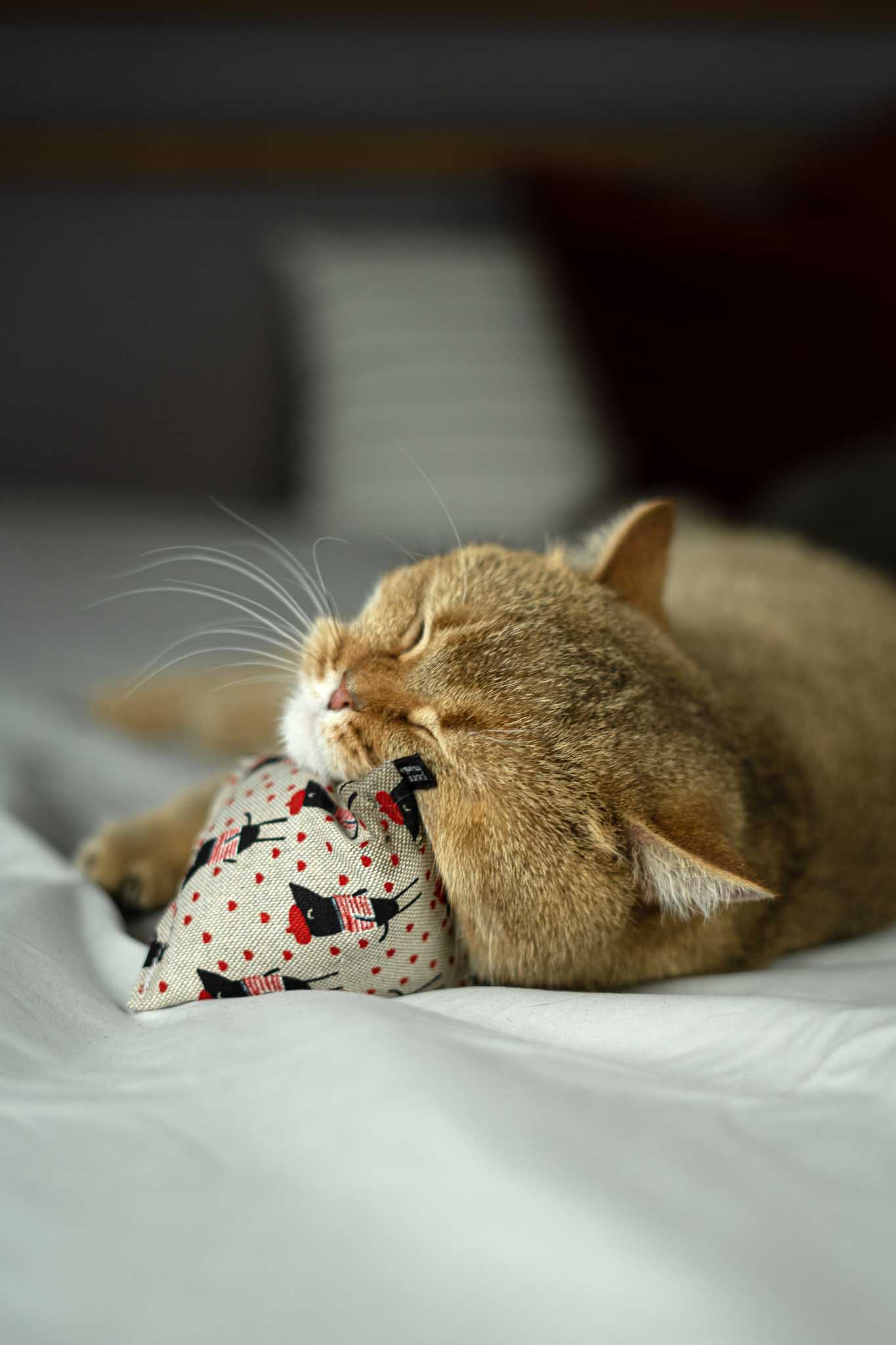 maty ohlala (Matatabi)