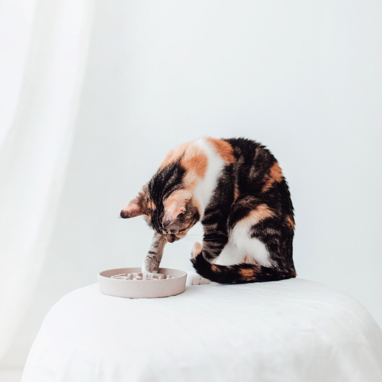 Bamboo Cat Slow Feeder 13,5cm Merengue