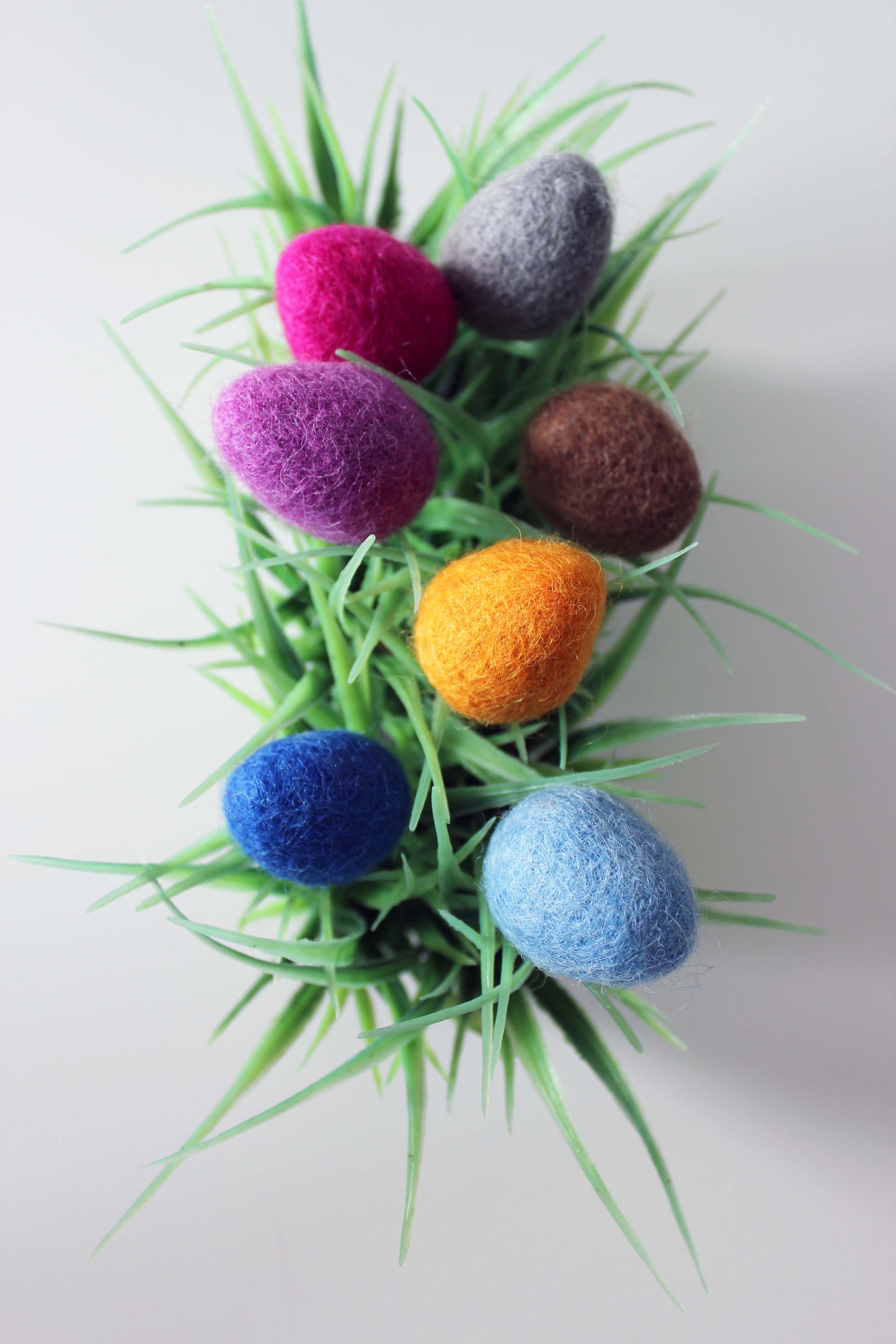 Filzeier felty eggs