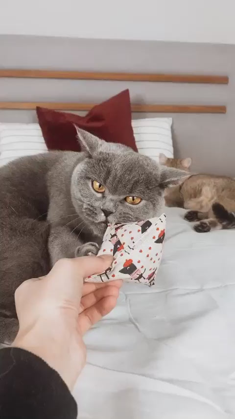 maty ohlala (Matatabi)