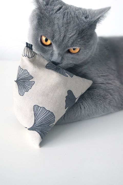 purramid Ginkgo (Baldrian + Catnip)